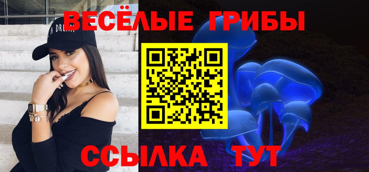 Галлюциногенные грибы Psilocybine cubensis  Вход с VPN  Красноперекопск 